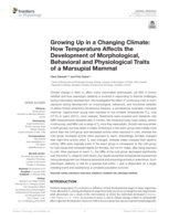 Growing Up in a Changing Climate: How Temperature Affects the Development of Morphological, Behavioral and Physiological Traits of a Marsupial Mammal