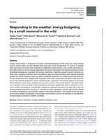 Responding to the weather: energy budgeting by a small mammal in the wild