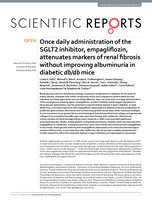 Once daily administration of the SGLT2 inhibitor, empagliflozin, attenuates markers of renal fibrosis without improving albuminuria in diabetic db/db mice