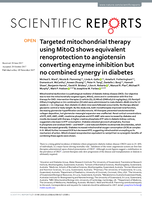 Targeted mitochondrial therapy using MitoQ shows equivalent renoprotection to angiotensin converting enzyme inhibition but no combined synergy in diabetes