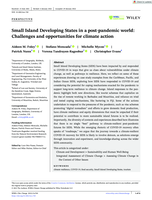 Small Island Developing States in a post-pandemic world: Challenges and opportunities for climate action