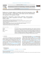 Rediscovery of Ixodes confusus in Australia with the first description of the male from Australia, a redescription of the female, the mitochondrial (mt) genomes of five species of Ixodes