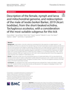 Description of the female, nymph and larva and mitochondrial genome, and redescription of the male of Ixodes barkeri Barker, 2019 (Acari: Ixodidae), from the short-beaked echidna, Tachyglossus aculeatus, with a consideration of the most suitable subgenus for this tick