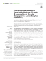 Evaluating the Possibility of Transfusion Medicine, Through Crossmatching in Juvenile Galapagos Sea Lions (Zalophus wollebaeki)