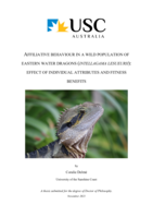 Affiliative behaviour in a wild population of Eastern water dragons (Intellagama lesueurii): Effect of individual attributes and fitness benefits
