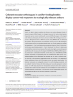 Odorant receptor orthologues in conifer-feeding beetles display conserved responses to ecologically relevant odors