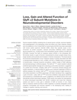 Loss, Gain and Altered Function of GlyR α2 Subunit Mutations in Neurodevelopmental Disorders