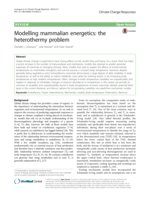 Modelling mammalian energetics: the heterothermy problem