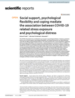 Social support, psychological flexibility and coping mediate the association between COVID-19 related stress exposure and psychological distress