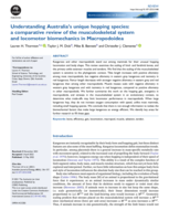 Understanding Australia’s unique hopping species: a comparative review of the musculoskeletal system and locomotor biomechanics in Macropodoidea