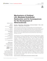Mechanisms of Oxidized LDL-Mediated Endothelial Dysfunction and Its Consequences for the Development of Atherosclerosis