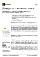 Boron Effects on Fruit Set, Yield, Quality and Paternity of Hass Avocado