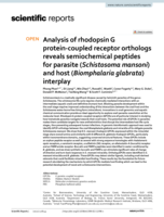 Analysis of rhodopsin G protein-coupled receptor orthologs reveals semiochemical peptides for parasite (Schistosoma mansoni) and host (Biomphalaria glabrata) interplay