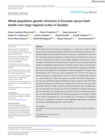 Weak population genetic structure in Eurasian spruce bark beetle over large regional scales in Sweden