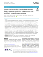 The abundance of a transfer RNA-derived RNA fragment small RNA subpopulation is enriched in cauda spermatozoa