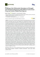 Profiling of the Differential Abundance of Drought and Salt Stress-Responsive MicroRNAs Across Grass Crop and Genetic Model Plant Species