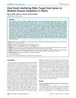 Viral Small Interfering RNAs Target Host Genes to Mediate Disease Symptoms in Plants