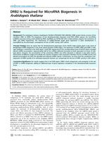 DRB2 Is Required for MicroRNA Biogenesis in Arabidopsis thaliana