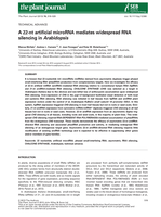 A 22-nt artificial microRNA mediates widespread RNA silencing in Arabidopsis