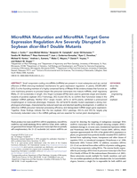 MicroRNA Maturation and MicroRNA Target Gene Expression Regulation Are Severely Disrupted in Soybean dicer-like1 Double Mutants