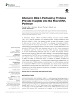 Chimeric DCL1-Partnering Proteins Provide Insights into the MicroRNA Pathway