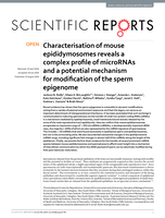 Characterisation of mouse epididymosomes reveals a complex profile of microRNAs and a potential mechanism for modification of the sperm epigenome
