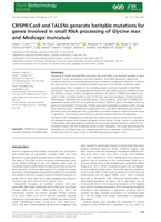 CRISPR/Cas9 and TALENs generate heritable mutations for genes involved in small RNA processing of Glycine max and Medicago truncatula