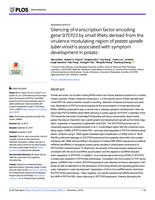 Silencing of transcription factor encoding gene StTCP23 by small RNAs derived from the virulence modulating region of potato spindle tuber viroid is associated with symptom development in potato
