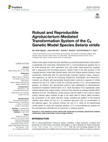 Robust and Reproducible Agrobacterium-Mediated Transformation System of the C-4 Genetic Model Species Setaria viridis