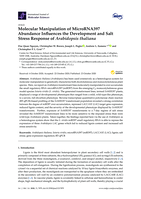 Molecular Manipulation of MicroRNA397 Abundance Influences the Development and Salt Stress Response of Arabidopsis thaliana