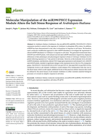 Molecular Manipulation of the miR399/PHO2 Expression Module Alters the Salt Stress Response of Arabidopsis thaliana