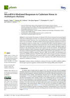 MicroRNA-Mediated Responses to Cadmium Stress in Arabidopsis thaliana