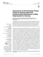 Assessment of the Emerging Threat Posed by Perfluoroalkyl and Polyfluoroalkyl Substances to Male Reproduction in Humans