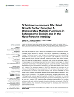 Schistosoma mansoni Fibroblast Growth Factor Receptor A Orchestrates Multiple Functions in Schistosome Biology and in the Host-Parasite Interplay