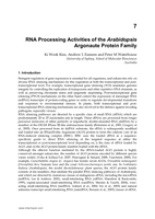 RNA Processing Activities of the Arabidopsis Argonaute Protein Family