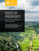 Roots of Prosperity: The Economics and Finance of Restoring Land