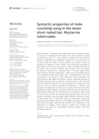 Syntactic properties of male courtship song in the lesser short-tailed bat, Mystacina tuberculata