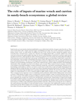 The role of inputs of marine wrack and carrion in sandy-beach ecosystems: a global review
