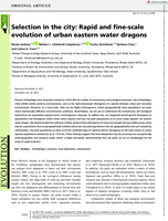 Selection in the city: Rapid and fine scale evolution of urban eastern water dragons