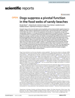 Dogs suppress a pivotal function in the food webs of sandy beaches