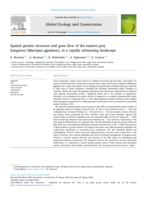 Spatial genetic structure and gene flow of the eastern grey kangaroo (Macropus giganteus), in a rapidly urbanising landscape