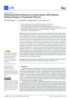 Mitochondrial Dysfunction in Individuals with Diabetic Kidney Disease: A Systematic Review