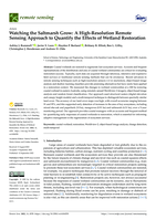 Watching the Saltmarsh Grow: A High-Resolution Remote Sensing Approach to Quantify the Effects of Wetland Restoration