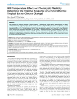 Will Temperature Effects or Phenotypic Plasticity Determine the Thermal Response of a Heterothermic Tropical Bat to Climate Change?