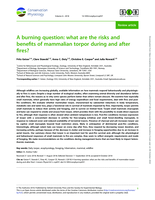 A burning question: what are the risks and benefits of mammalian torpor during and after fires?