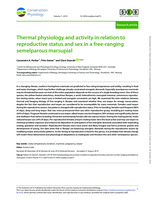 Thermal physiology and activity in relation to reproductive status and sex in a free-ranging semelparous marsupial