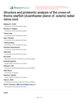 Structure and proteomic analysis of the crown-of-thorns starfish (Acanthaster planci cf. solaris) radial nerve cord
