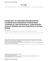 Comparison of a Slip-Style Omnidirectional Treadmill and Conventional Unidirectional Treadmill on Task Performance, Cybersickness, Postural Stability and User Experience in Virtual Reality