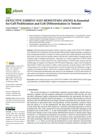 DEFECTIVE EMBRYO AND MERISTEMS1 (DEM1) Is Essential for Cell Proliferation and Cell Differentiation in Tomato
