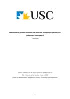 Mitochondrial genome evolution and molecular phylogeny of parasitic lice (infraorder: Phthiraptera)